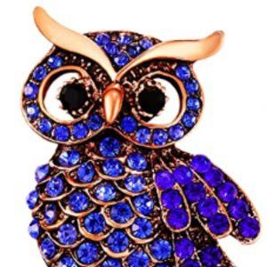 ✨ Blue Owl pin (Medium copper colored)
